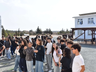 06.jpg