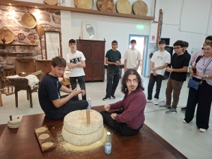 40.jpg
