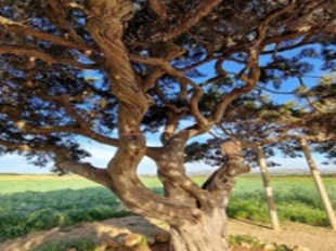 Εικόνα 1: Χαρακτηριστικά του αοράτου