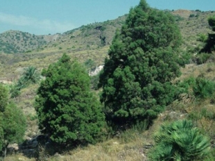 Εικόνα 2: Φωτογραφία αοράτων από το Κέντρο Περιβαλλοντικής Εκπαίδευσης, Κάβο Γκρέκο