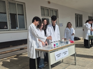 Ημέρα του Mole