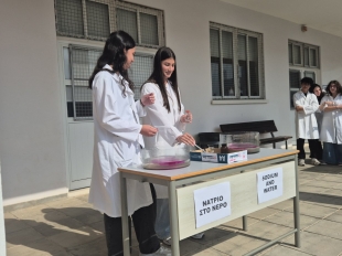 Ημέρα του Mole